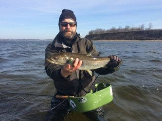 55 cm fisk fra Roskilde fjord