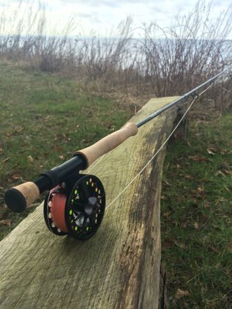 Scott Tidal #7 og Lamson Guru