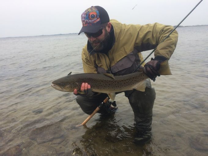 Nedgænger på 74 cm fra Roskilde fjord, som blev nænsomt genudsat